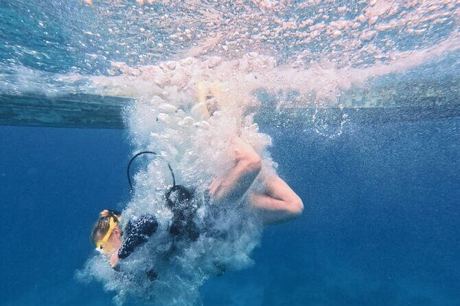 Two Reefs For Certified Divers in Cancun - What Makes the Reefs Special?