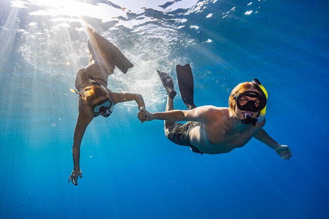 Two Site Snorkeling Adventure featuring the Molokini Crater - What Makes This Tour Stand Out?