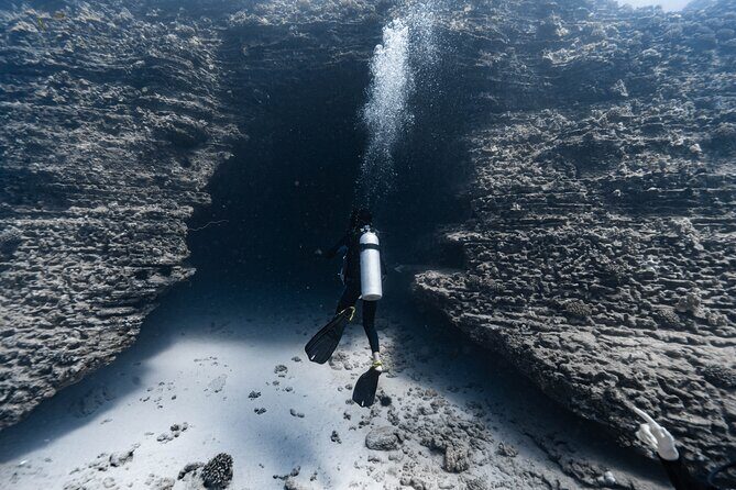 Two Tank Wreck and Drift Dive in Oahu - Practical Details: Timing, Cost, and Group Size