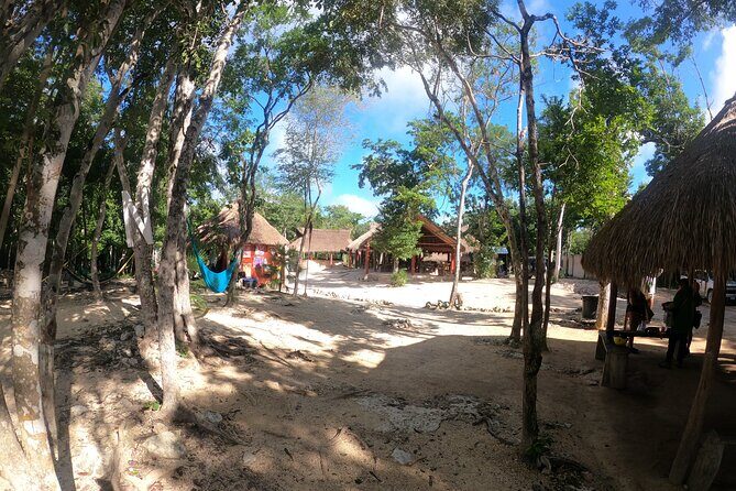 Ultimate Tulum Adventure: ATVs, Horses, Ziplines & Cenotes - What Travelers Can Expect and Why It Matters