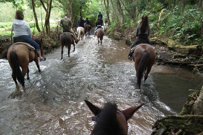 Umbria, Horseback riding in the Umbrian countryside with lunch - Who Should Consider This Tour?