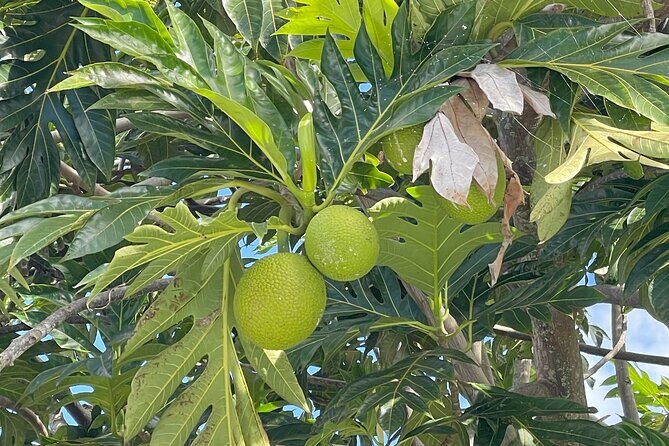 Upcountry Sunset Tour - The Sum Up