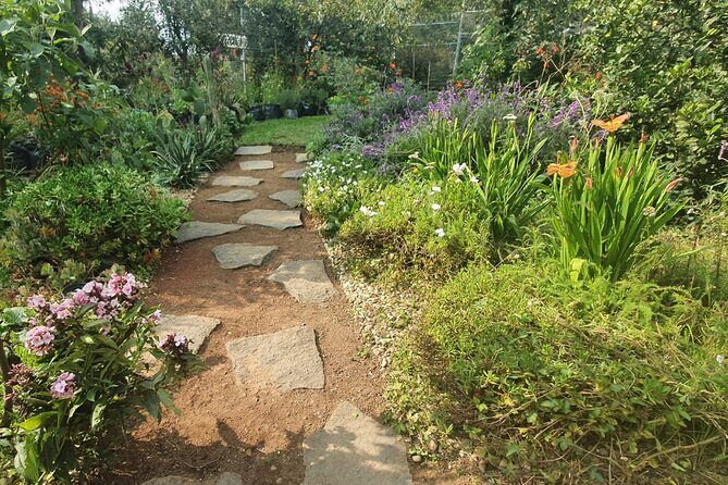 Urban Orchard in Desierto de los Leones in Mexico City - Hands-On Foraging and Tasting