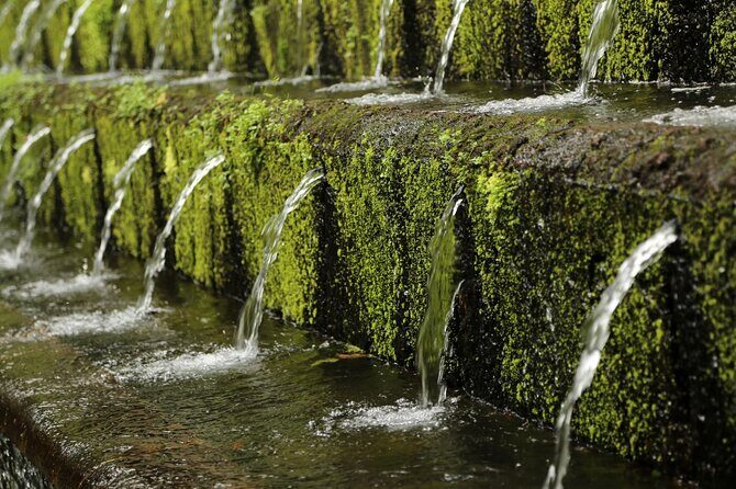 Uruapan Eco Tour with Breakfast - Who Should Consider This Tour?