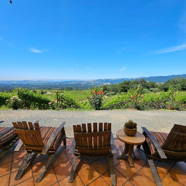 USA/California/Napa: Private Wine Tour for up to 6 guests - The Value and What You’re Paying For