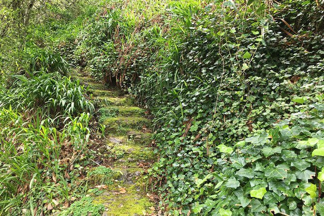 Vale Paraiso - Paradise Valley Walk - The Value of the Tour