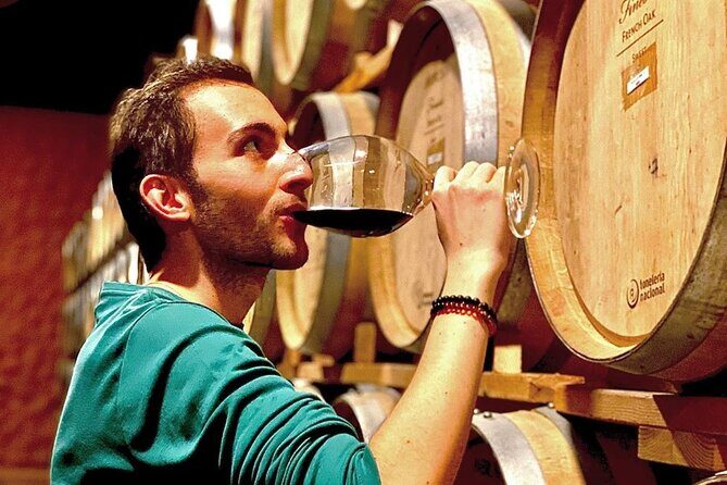 Valle de Guadalupe Premium Wine & Vineyard Wagon Tour - What to Expect on the Tour