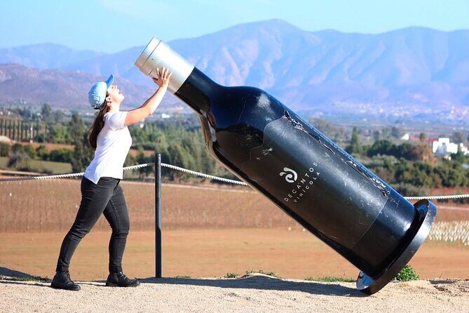 Valle de Guadalupe Wine Experience: Wine Tastings Included - What’s Included and How It Adds Value