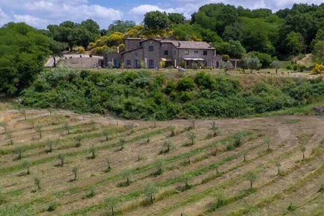 Valle del Lago eBike Tour with Food & Wine Tasting Experience - Practicalities and Final Thoughts