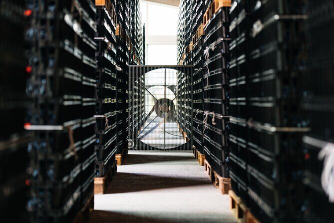 Valpolicella Lunch or Dinner Wine & Food tasting with Amarone - Authentic, Friendly, and Informative Guides