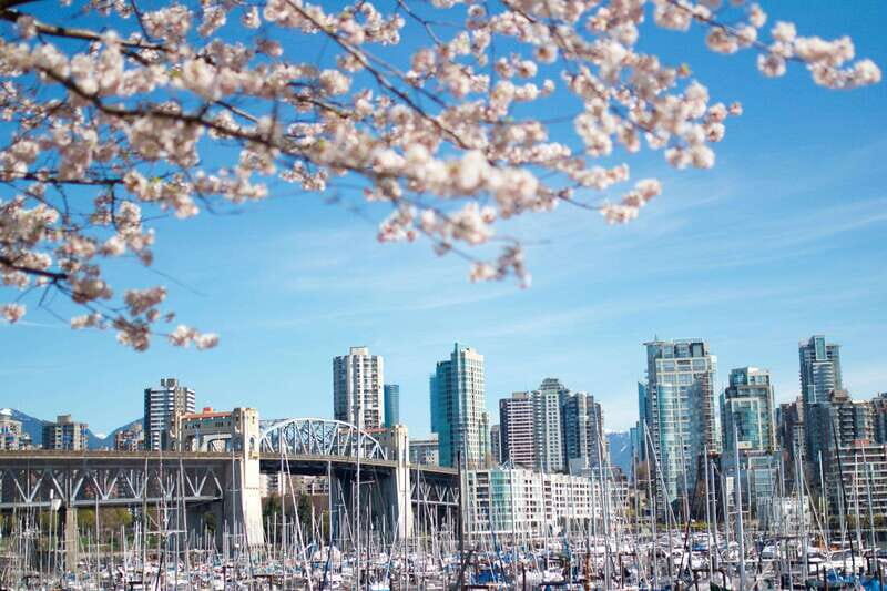 Vancouver: City & Granville Island Sightseeing Trolley Tour - What to Expect From the Guided Tour