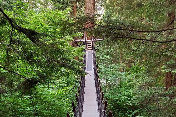 Vancouver City Tour: Capilano Bridge and Stanley Park - Who Will Get the Most Out of It?