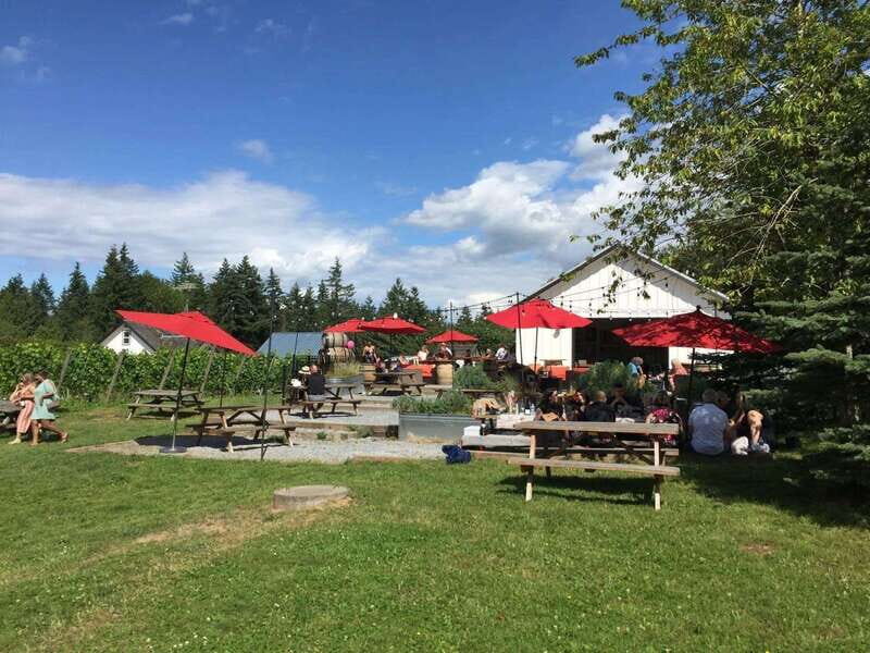 Vancouver: Fraser Valley Wine Tasting Tour - Why This Tour Offers Good Value