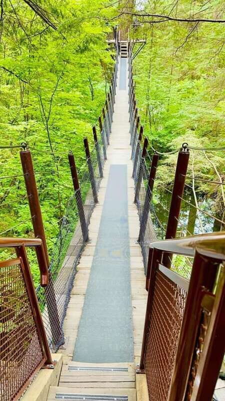 Vancouver: Private Tour City Sights, FlyOver & Capilano - Who Will Love This Tour?