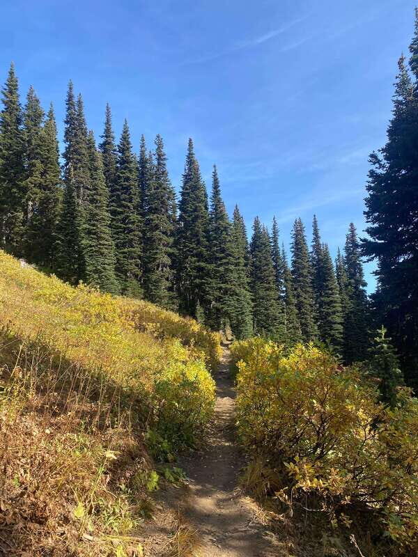 Vancouver/Squamish: Garibaldi Park Panorama Ridge Hike - The Practical Side: What’s Included and What’s Not