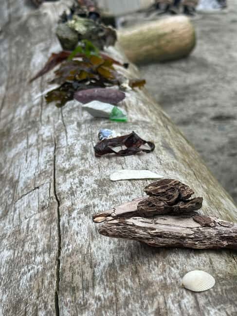 Vancouver: Stanley Park Salish Sea & Me - What Past Participants Say