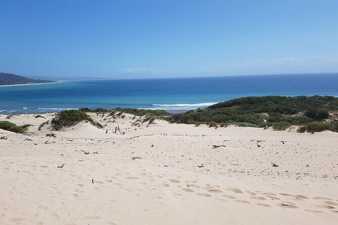 Vejer and Bologna Beach Rate Excursion from Cadiz - Practical Details & Tips