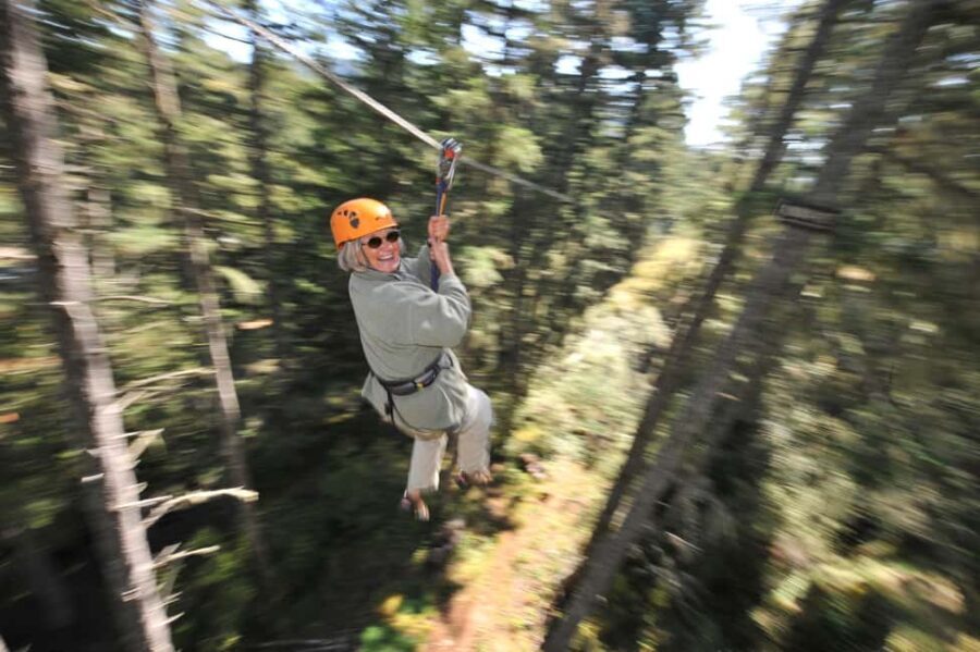 Victoria: 8 Zipline Guided Tour + Suspension Bridge - An In-Depth Look at the Zipline Adventure