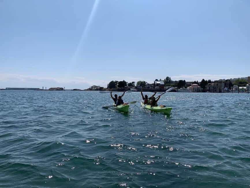 Victoria: Guided Kayak Tour Adventure - The Quality of the Experience and Group Dynamics