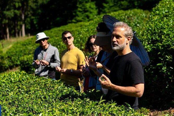 Victoria to Nanaimo Waterfall Wildlife Food Stops Along The Way - Why This Tour Offers Great Value