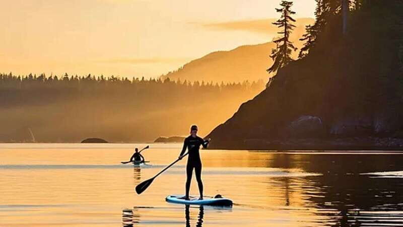 Victoria: Upper Gorge Waterway Paddle Boarding Tour - Who Should Consider This Tour?