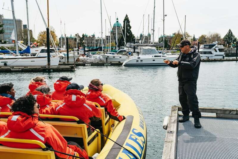 Victoria: Whale Watching Adventure in a Zodiac Boat - What We Love About This Tour