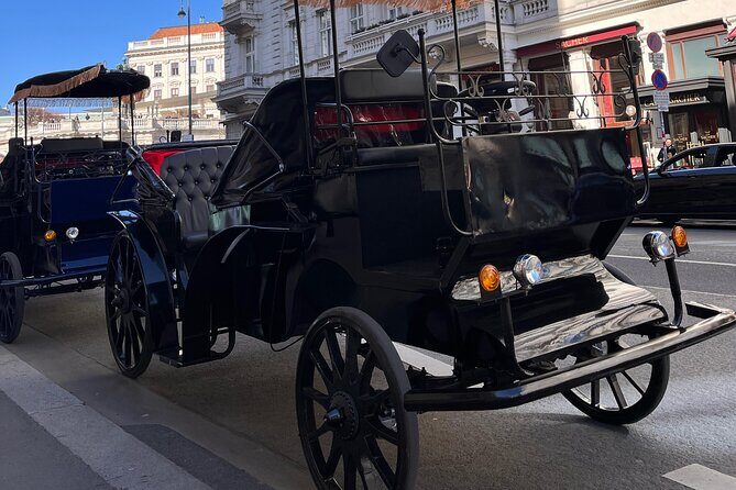 Vienna: 60 min. Royal E-Carriage Sightseeing Tour with Drinks - Why the Drinks Matter