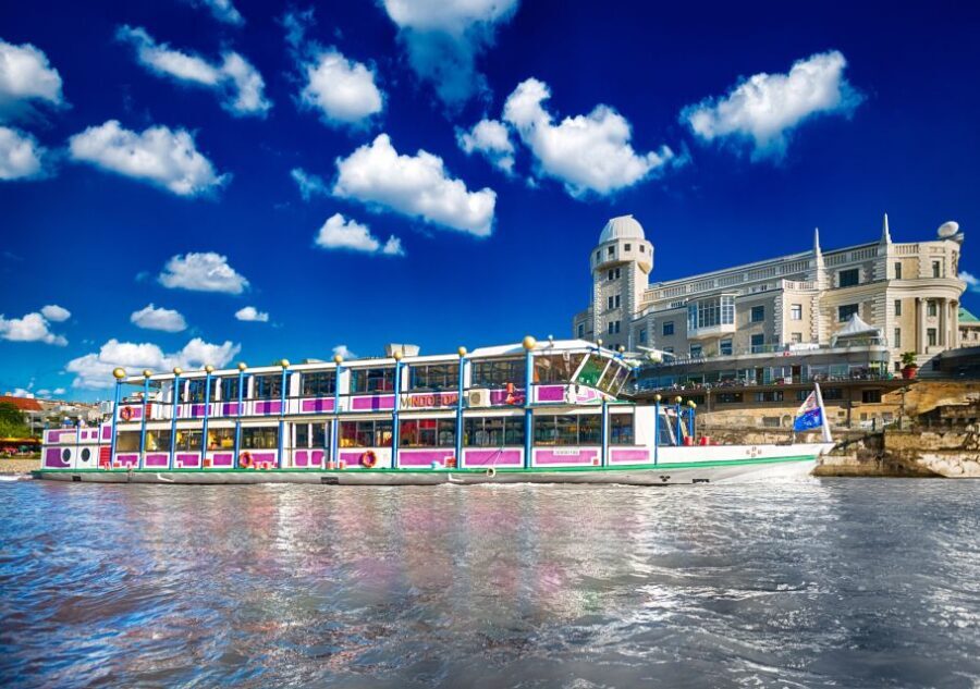 Vienna: Cruise and Schnitzel Tour - The Cruise Experience