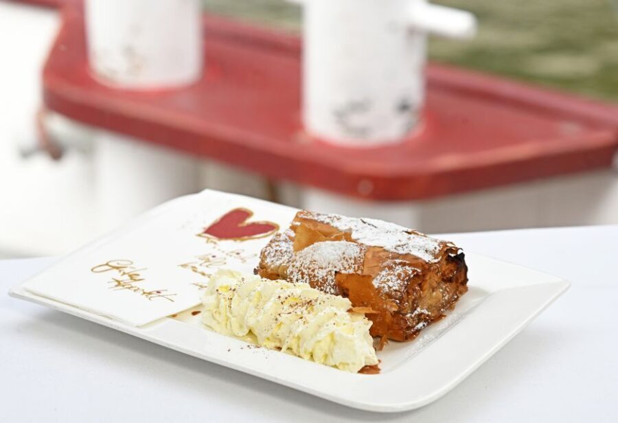 Vienna: Danube River Cruise w/ optional Viennese Specialties - What the Reviews Say