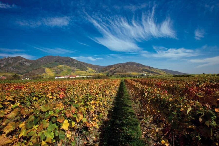 Vienna: eský Krumlov and Wachau Valley Tour - Who Would Love This Tour?