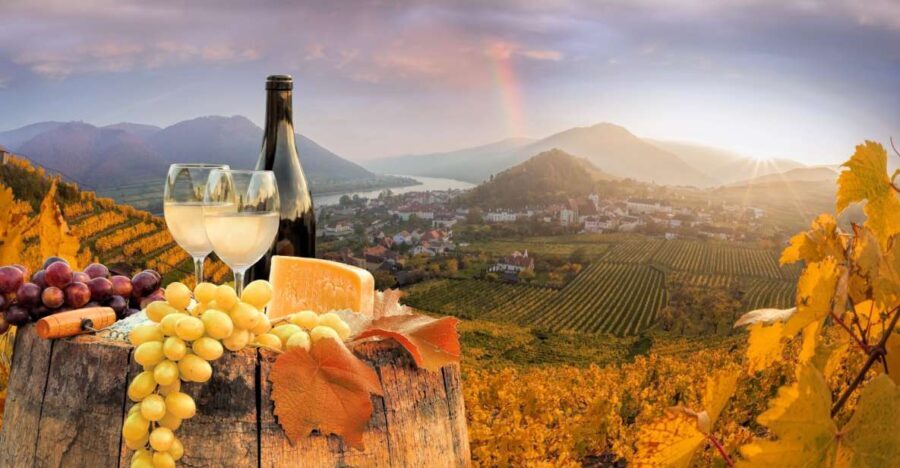 Vienna: Melk, Wachau Wine, Lower Austria Day Trip by Car - Who Would Love This Tour?