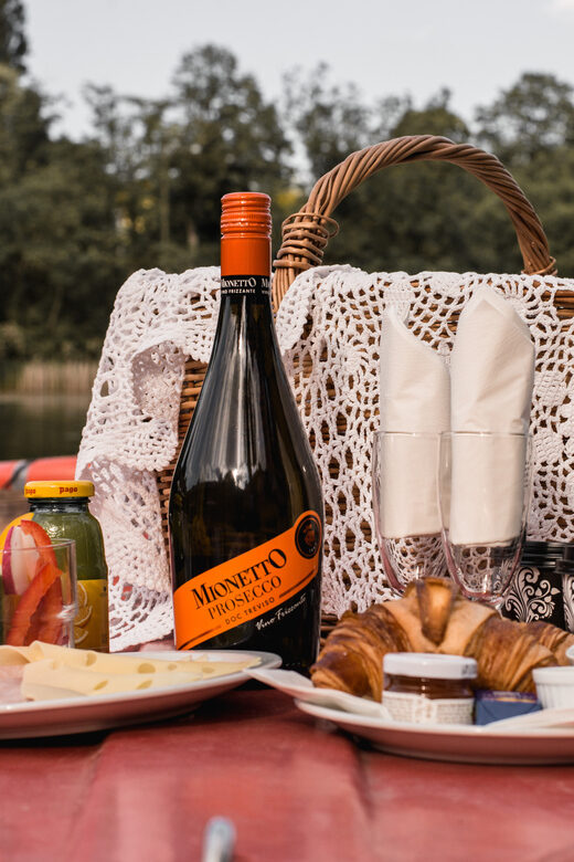 Vienna: Retro Boat Tour on the Danube River with Picnic - Who Will Love This Tour?