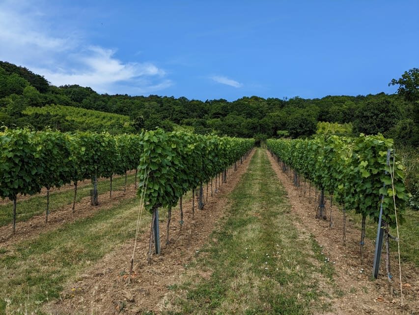 Vienna: Small-Group Wine Tasting Tour - The Quality of the Wines and Overall Value