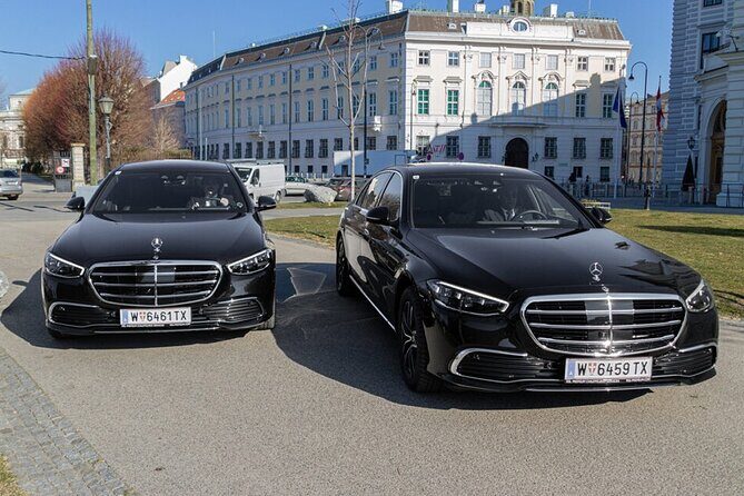 Vienna Through a Lens - Authentic Feedback: What Past Travelers Say