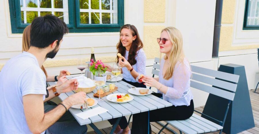 Vienna: Wine Tasting at Schönbrunn Palace - The Pros and Cons
