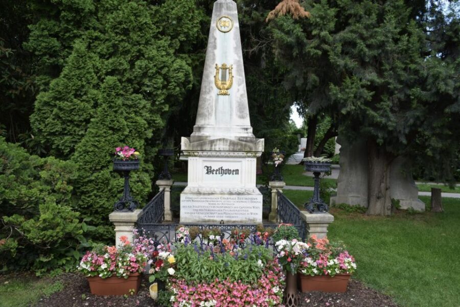 Vienna_ Meet Beethoven Life Private Guided Walking Tour - The Exclusive Concert Experience