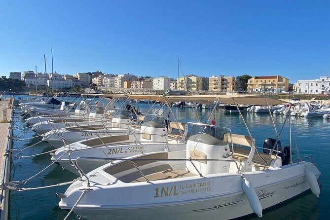 Vieste Boat rental without nautical license - Who Will Love This Experience?
