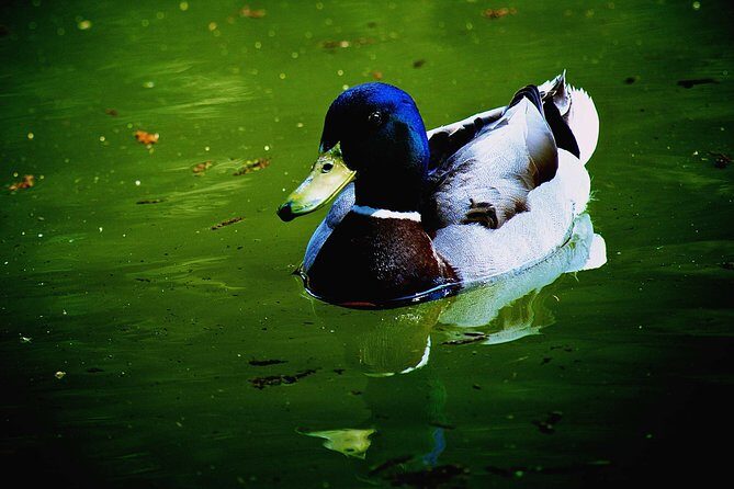 Villa Borghese and Posh Areas Unique Photo Tour and Workshop - What’s Included and What to Expect