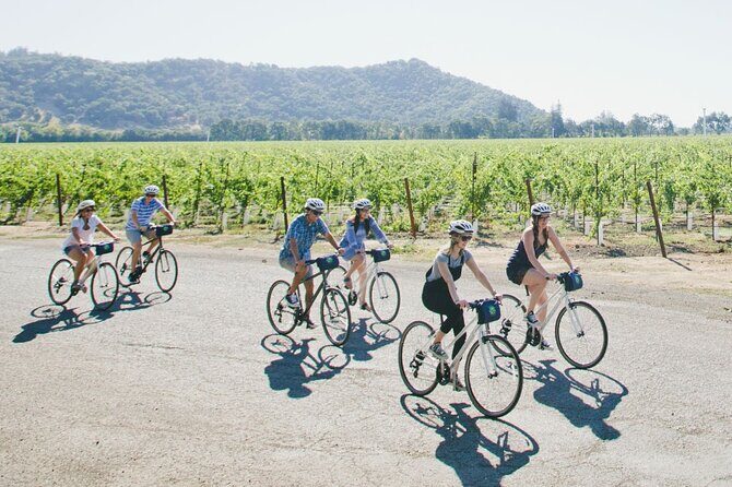 Vine Trail Discovery E-Bike Tour - The Experience: What You Can Expect