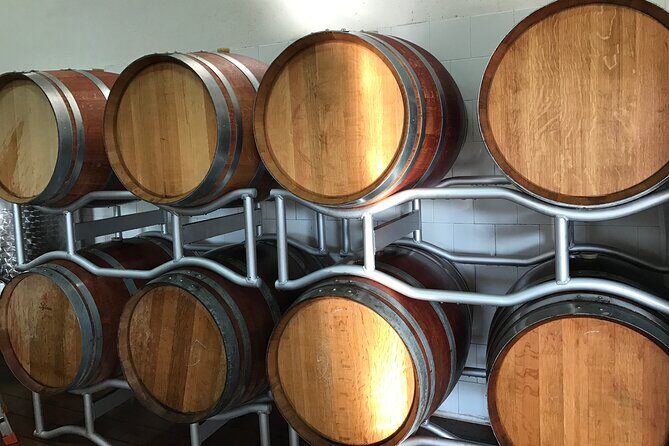 Vineyard experience in Pozzuoli - Final Thoughts