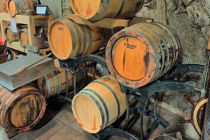 Vineyard Tour with Wine Tasting in Cinque Terre - The Sum Up: Who Should Consider This Tour?