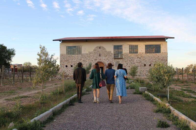 VINEYARD TOUR - Wine Tastings and Food