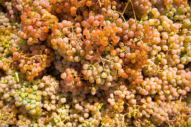 Vinho Verde Experience with 2 Wineries and Lunch - What Makes This Tour Stand Out?