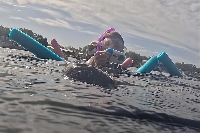 VIP Guided Swim with Manatee Tour Crystal River FL Free Photos - Authentic Insights from Past Travelers