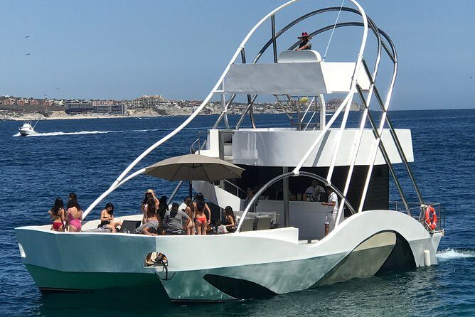 VIP Pelicano Tour - An In-Depth Look at the VIP Pelicano Tour