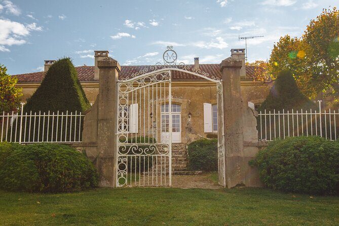 Visit and wine tasting: The Musketeers' wine - The Overall Experience: Value and Atmosphere