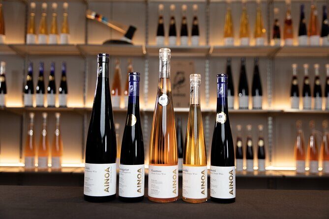 Visit to Authentic Finnish Berry Winery, Tasting Included - Tasting and Food Pairings