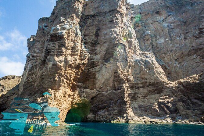 Visit to Ilhéu das Cabras - Authentic Testimonials & Insights