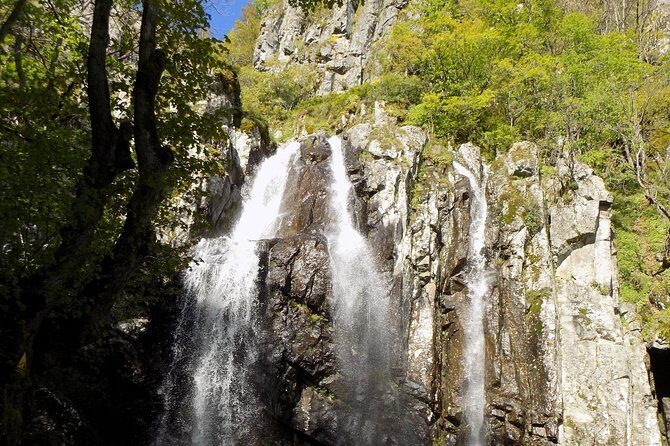 Vitosha hiking tour - The Highlights: Why Youll Love It