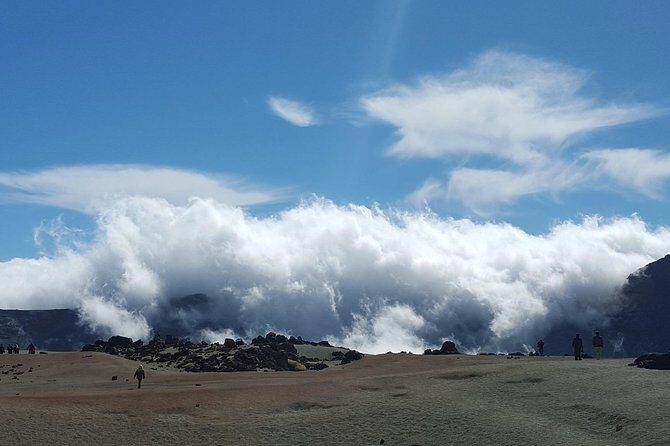 Volcano & Mt Teide Private Tour in Tenerife - What’s Included and What’s Not?  
